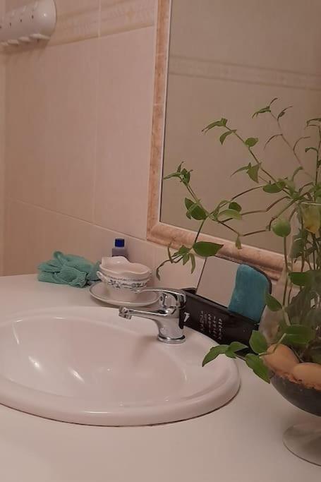 Le Chausse A Bres Chambre D'Hotes 2 Payzac  外观 照片